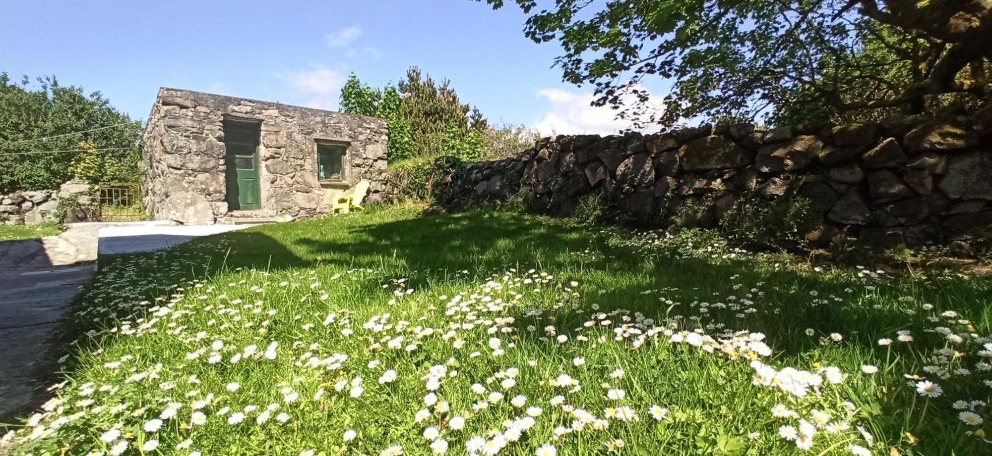 Atlantic Way Cottage Galway Phòng bức ảnh